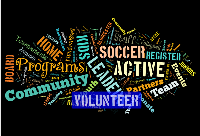 Fundraising Volunteers and Public Affairs Volunteers